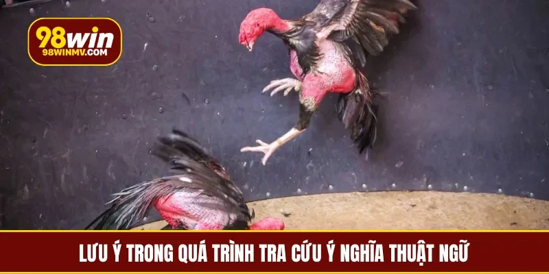 Lưu ý trong quá trình tra cứu ý nghĩa thuật ngữ