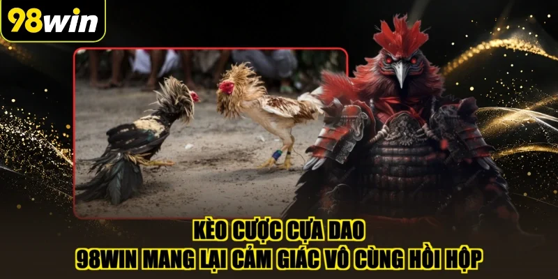 Kèo cược cựa dao 98WIN mang lại cảm giác vô cùng hồi hộp